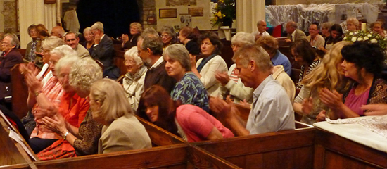 Audience at Concert